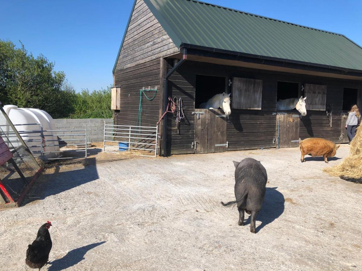 Letterfrack Farm Lodge House In Letterfrack Village Connemara エクステリア 写真
