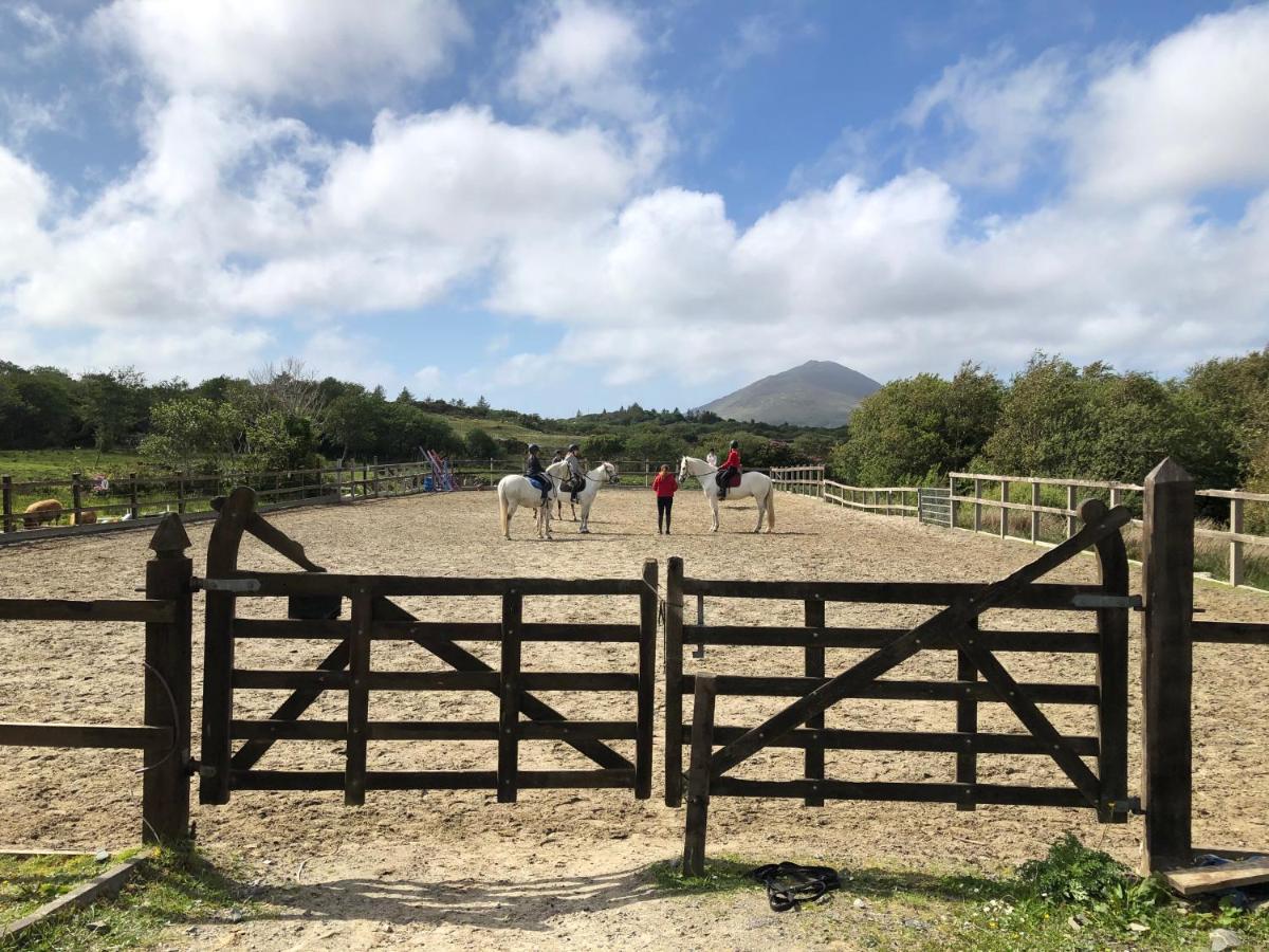 Letterfrack Farm Lodge House In Letterfrack Village Connemara エクステリア 写真